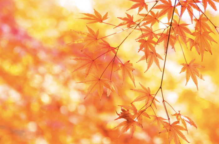 秋からがエコキュート本体、エコキュート交換工事の金額が高くなる理由を知りたい方へ