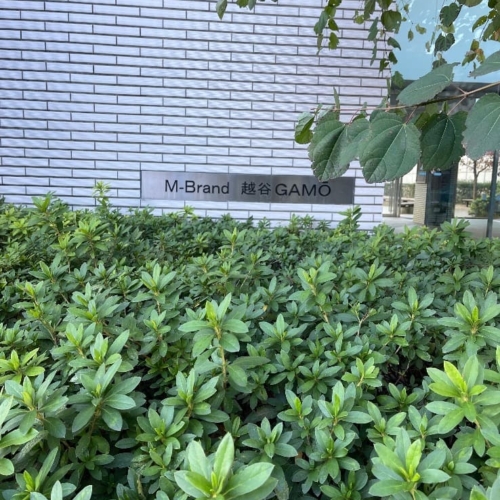 埼玉県越谷市のエムブランド越谷GAMOのエコキュート交換工事をご検討の方へ