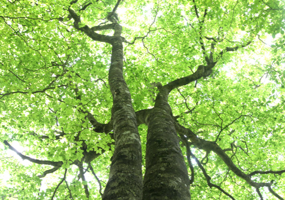 北設楽郡設楽町にお住まいの方へおすすめのエコキュートを知りたい方へ