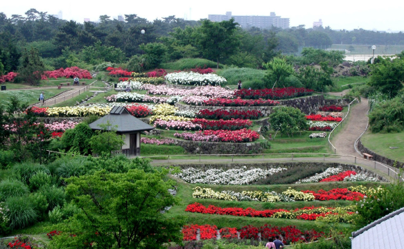 堺市西区のエコキュート設置工事ならみずほ住設にお任せください。