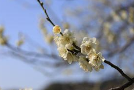 太宰府市でエコキュート交換工事をご検討の方へ