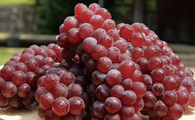 大阪府柏原市でエコキュート交換工事をご検討の方へ