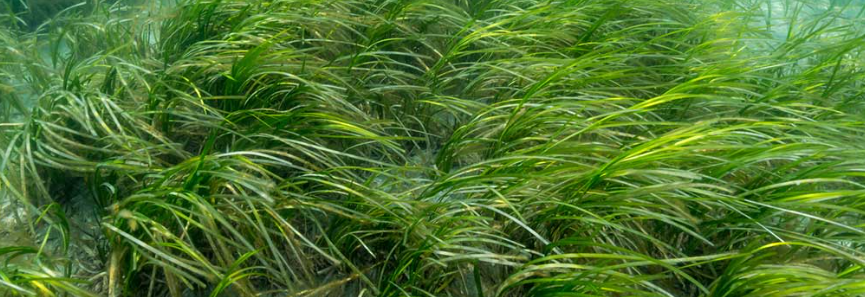 大阪府阪南市でエコキュート交換工事をご検討の方へ