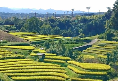 大阪府南河内郡千早赤阪村にお住まいの方へおすすめのエコキュートを知りたい方へ